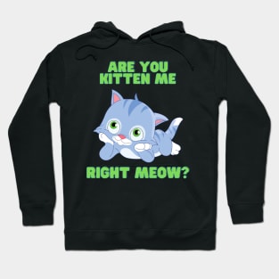 Are you kitten me right meow, Are You Kitten Meow, cat, Kitty, kitten, animal, pet, funny, cute, humorous, humour, funny cats, cute cats Hoodie